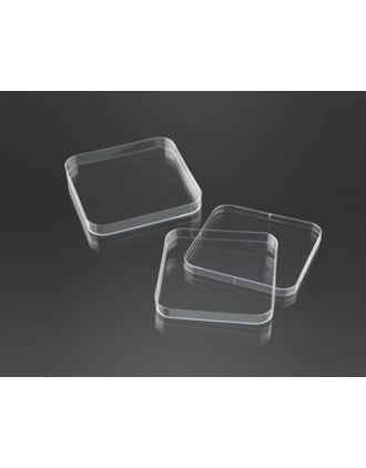 Placa Petri cuadrada