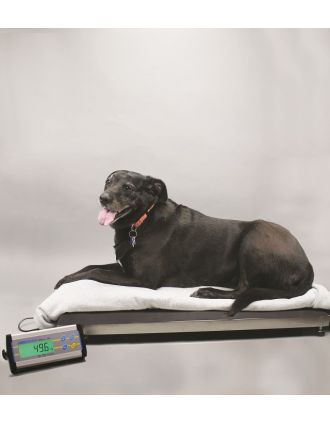 Balanza veterinario KBJ001