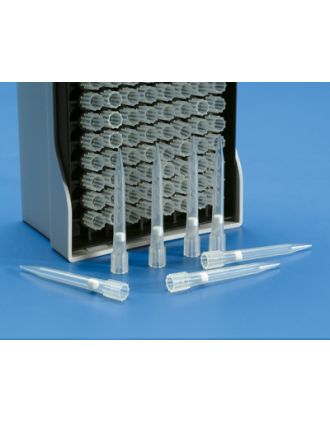 Punta c/filtr. estéril rack Eppend
