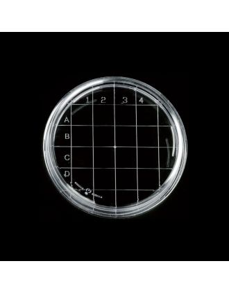 Placa Rodac cuadriculadas, B/20